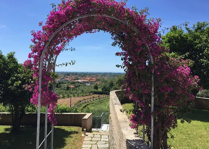 Alojamento de Acomodação e Pequeno-almoço Relais Montepepe Winery &