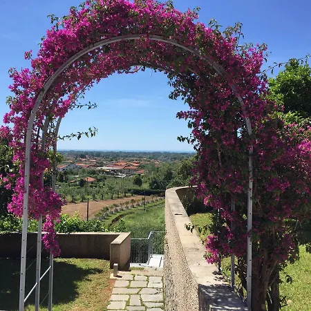 לינה וארוחת בוקר Relais Montepepe Winery &