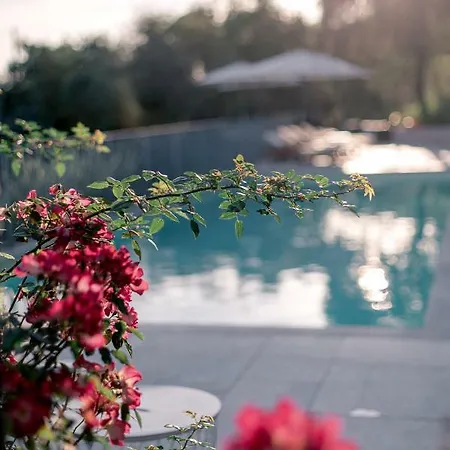 Relais Montepepe Winery & Отель типа 